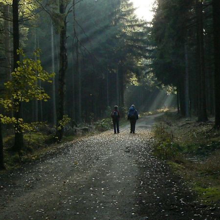 Zimmervermietung-Heide-Fiege Hartmannsdorf bei Chemnitz Екстер'єр фото